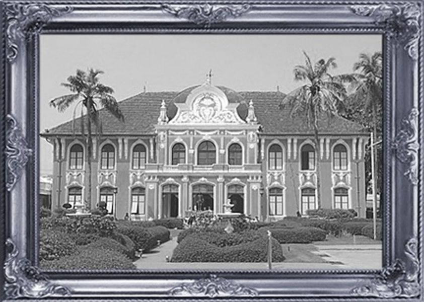 プレミアムオーガニックハーブ