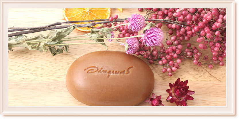 チャオプラヤアバイブーベ 医療機関