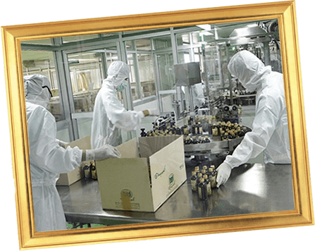 プレミアムオーガニックハーブが生まれる場所