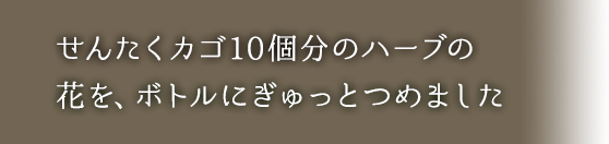 せんたくカゴ10個分のハーブの花を、ボトルにぎゅっとつめました
